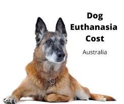 cost to put a dog down in australia