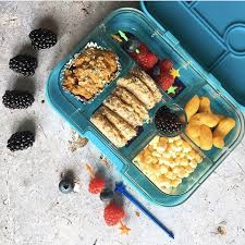 20 vegetarian lunch box ideas for kids