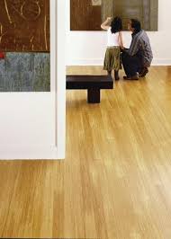 teragren synergy bamboo floors