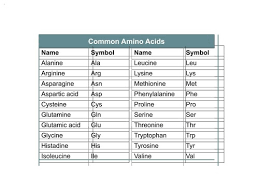24 3 amino acids and their polymers