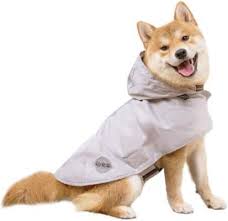 Top 10 Best Dog Raincoats Pet Product Reviews For 2019
