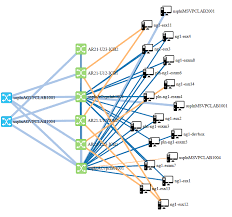 Network Topology Visualization Example Of Using Lldp