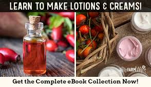 homemade lotion skin care