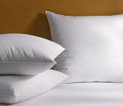 The Ritz Carlton Hotel Euro Pillow