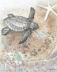 Shanthi S Sea Turtle Wall Art