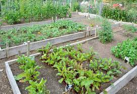 Best Community Gardens In Orange County