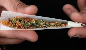 Resultado de imagen de cannabis