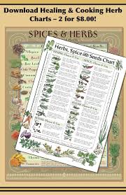 2 Charts Healing Herbs Cooking Spice