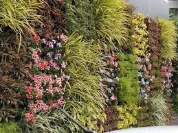 Natural Green Indoor Vertical Garden