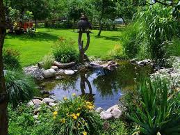 Making An Attractive Pond Edge Garden