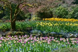 butchart gardens a must see spring