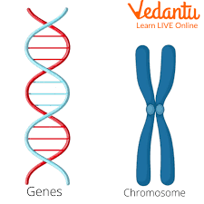 basics of genetics significance and