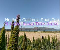 northern california road trip ideas