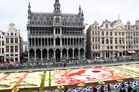 the magic of the brussels flower carpet
