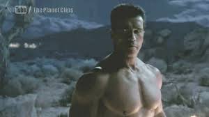 arnold entry terminator 3 rise of the