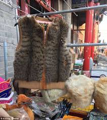 Cat Fur Waistcoats Available At Chinese