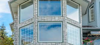 jacksonville replacement windows 20