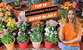 Flowering Plants To Grow In July In