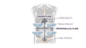 Aside from the pain usually felt on the lower left side of the abdomen. Abdominal Quadrants Regions And Planes Osmosis