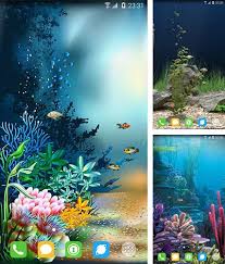 fonds d écran animé aquariums pour