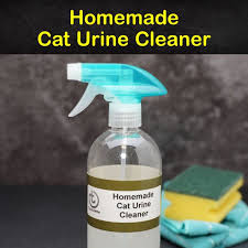 homemade cat urine cleaner