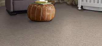 the echo collection pattern carpet in