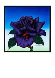 black rose free jim fitzpatrick