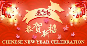 Image result for chinese new year picture