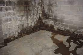 water proofing basement basement