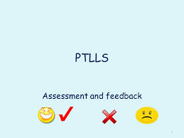 Ptlls assignment