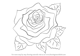 how to draw a rose rose step by step