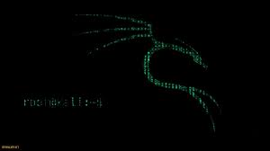 The hackand.apk file which we downloaded earlier is only 10 kb in size. Kali Linux Wallpaper 1080p New Inspirational Linux Kali Wallpaper Rifkivalkry Of Kali Linux Wallpaper 1080p Fresh Wallpapersw Desktop Wallpaper Wallpaper Linux