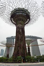 supertree by indochine rooftop bar
