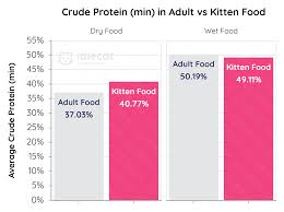Kitten Food Vs Adult Cat Food What Are The Differences