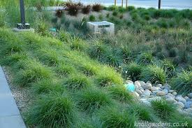 Take a good look at your yard: The New Rain Gardens At Knoll Knoll Gardens Ornamental Grasses And Flowering Perennials