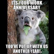 See more ideas about work anniversary, employee appreciation gifts, employee gifts. 50 Hilarious Happy Work Anniversary Meme Funny And Gifs
