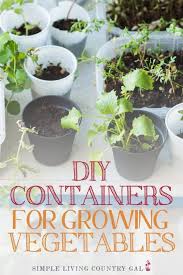 container vegetable garden ideas for a