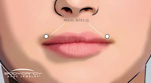the piercing dictionary lip