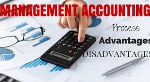 Management Accounting: Process, Advantages & Disadvantages - WiseStep