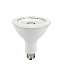 motion activated led light bulb