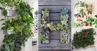 23 Diy Indoor Plant Wall Projects