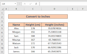 convert cm to feet and inches in excel