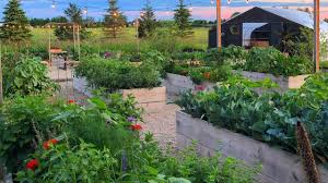 garden updates tips vegetable herb