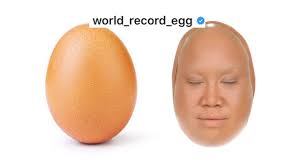 becoming the world record egg you
