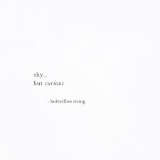 Song lyrics captions for instagram. Shy But Curious Butterflies Rising Soul Quotes Bio Quotes Shy Quotes