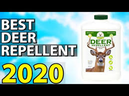 how to make deer repellent that works