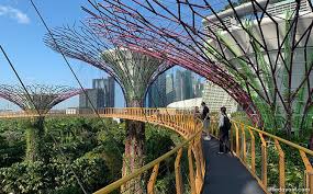 ocbc skyway at gardens by the bay