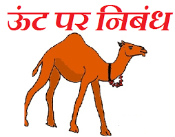Due to its vast geographical extent india experiences immense diversity in terms of terrain and the article lists names of some common and rare species of animals in the hindi language. Few Lines On Camel In Hindi Hindihunt
