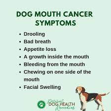 canine mouth cancer symptoms and