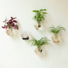 30 unique hanging planters to help you